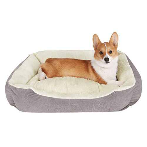 555574091